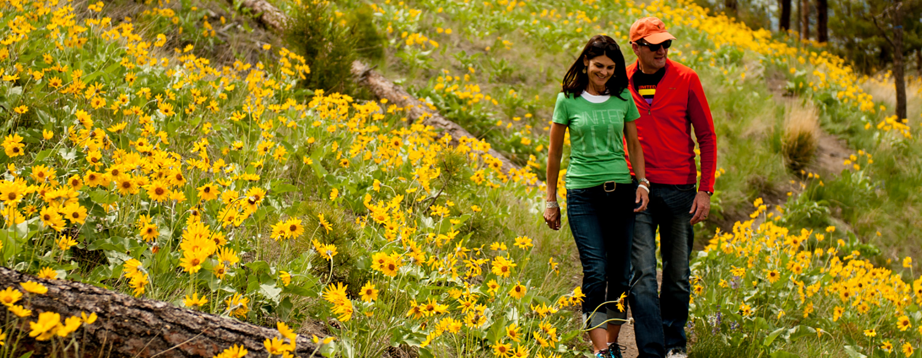 Two people walking on a mountain trail surrounded by wildflowers.